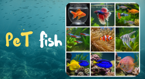 Keeping fish as pets can be a relaxing and rewarding experience. Aquariums add beauty to homes and offices while providing stress-relief and a sense of responsibility for pet owners.