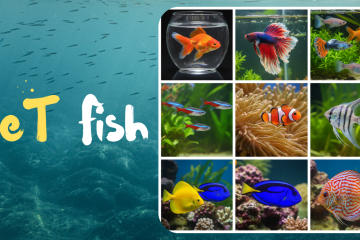 Keeping fish as pets can be a relaxing and rewarding experience. Aquariums add beauty to homes and offices while providing stress-relief and a sense of responsibility for pet owners.