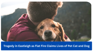 Tragedy in Eastleigh as Flat Fire Claims Lives of Pet Cat and Dog