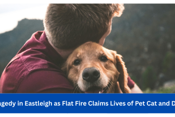 Tragedy in Eastleigh as Flat Fire Claims Lives of Pet Cat and Dog