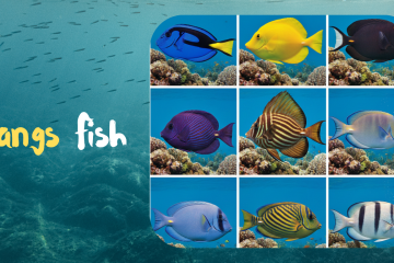 Tang fish are among the most fascinating and colorful saltwater fish on the planet. Known for their bright colors, unique body shapes, and ecological importance...