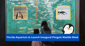 The event, beginning on 20 April, will feature daily appearances of African penguins walking through the aquarium’s lobby.